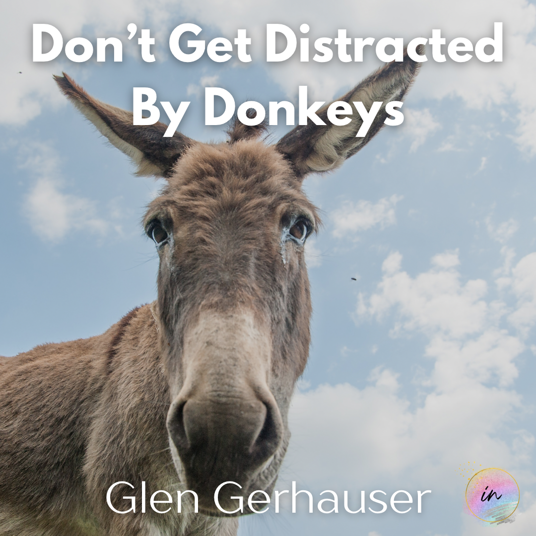 Don't Get Distracted by Donkeys (Message – Audio & Video